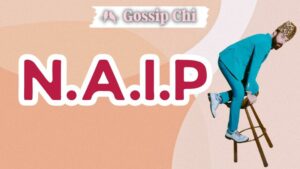 NAIP, N.A.I.P, Nessun artista In particolare